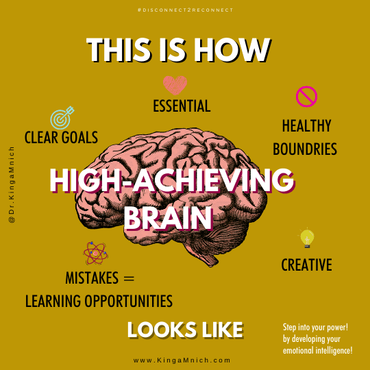 The high-achieving brain. Set healthy boundaries, have clear goals, mistakes are learning opportunities. Healthy high-achiever doesn't fear failure.