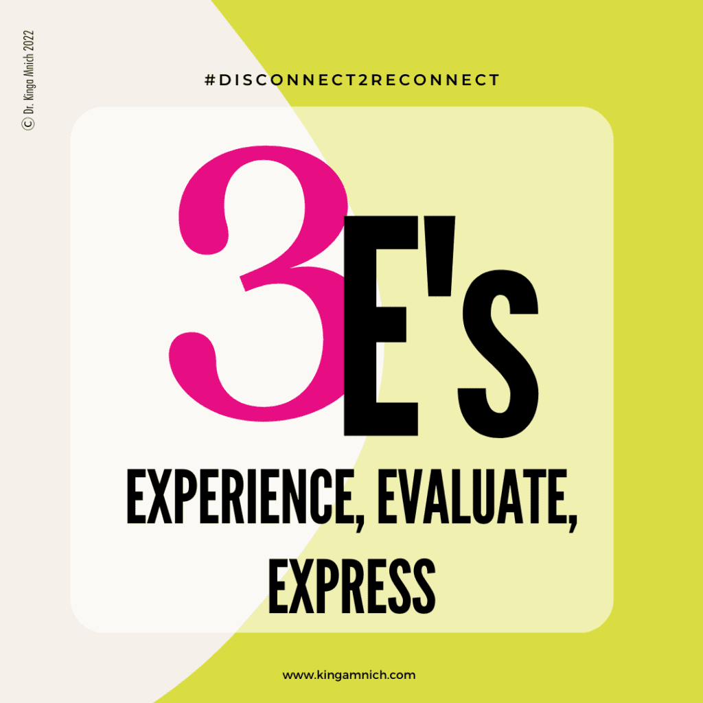 Graphic quoting Dr. Kinga Mnich's theory of the 3E's Experience Evaluate Express 