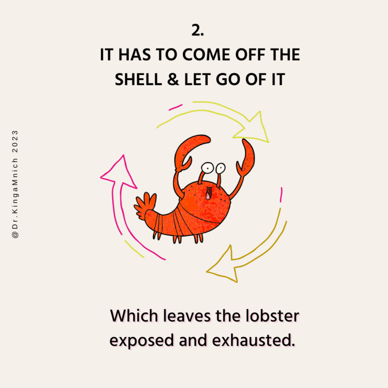 Burnout Prevention_ The lobster Mindset 3