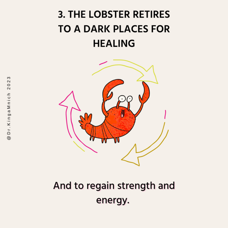 Prevention_ The lobster Mindset 4