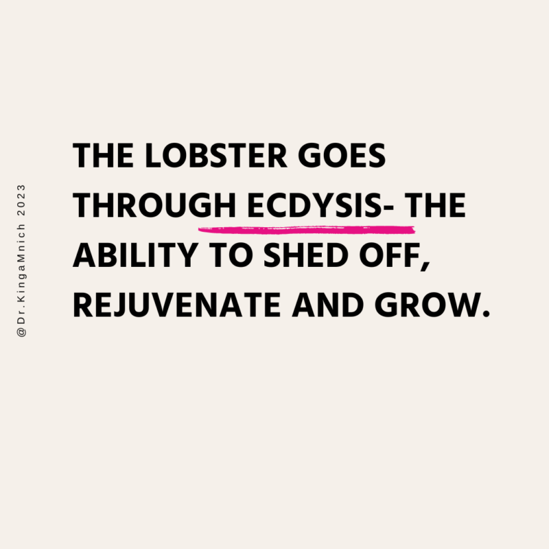 Prevention_ The lobster Mindset 6